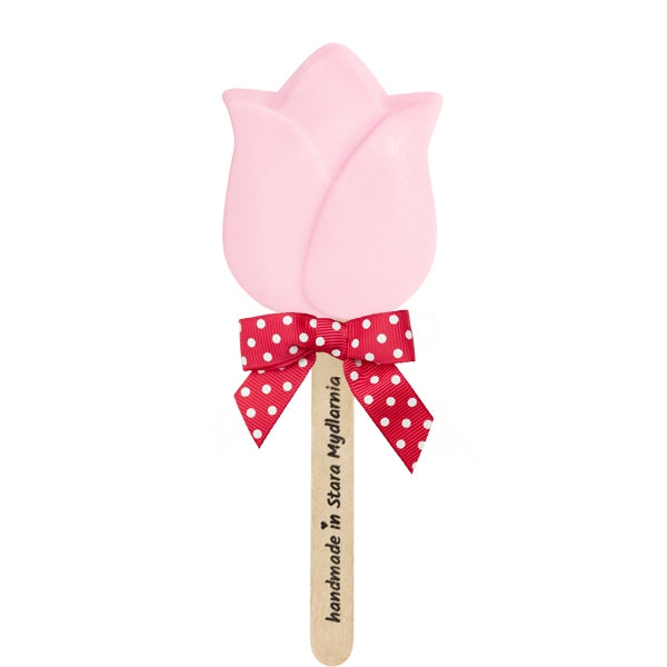 Pink Tulip