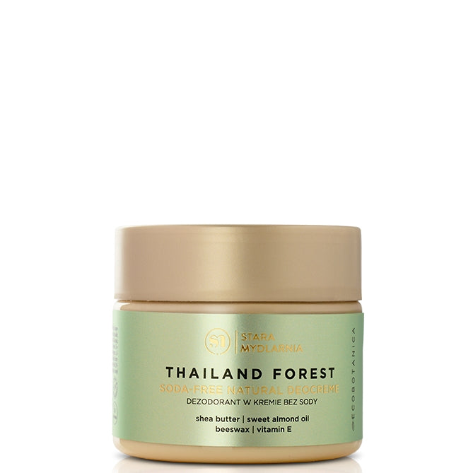 Thailand Forest